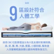 【Lunio】Gen3Pro石墨烯雙人6X7尺乳膠床＋枕(6段人體釋壓透氣 防蟎又吸震壓 涼)