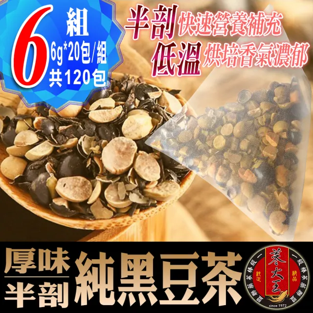 【蔘大王】真厚味剖半開仁純黑豆茶包X6組（6gX20入/組）長效期版(草本潔淨 輕盈順暢 幫助消化 促進代謝)