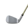【HONMA 本間高爾夫】3星BERES 09 ARMRQ 3FX #6-11 6支鐵桿組(高爾夫球桿 期間限定 加贈指定桿袋)