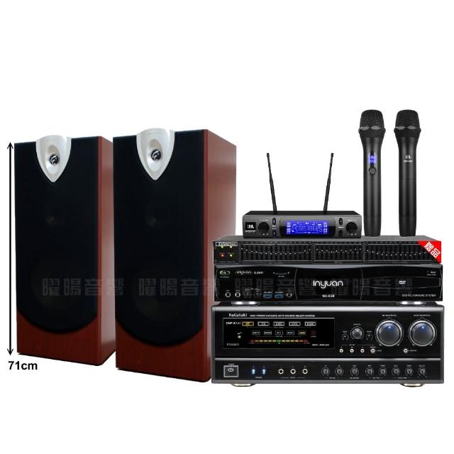 【音圓】N2-550+NaGaSaKi DSP-X1BT+ENSING ESP-503+JBL VM-300贈豪禮/音響設備