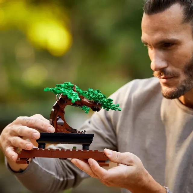 【LEGO 樂高】Botanicals 10281 盆栽(植物盆栽 居家擺設 DIY 禮物 送禮推薦)
