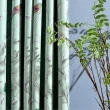 【PLUSIEURS】幸福青鳥插畫遮光窗簾(單件寬140＊高250公分)