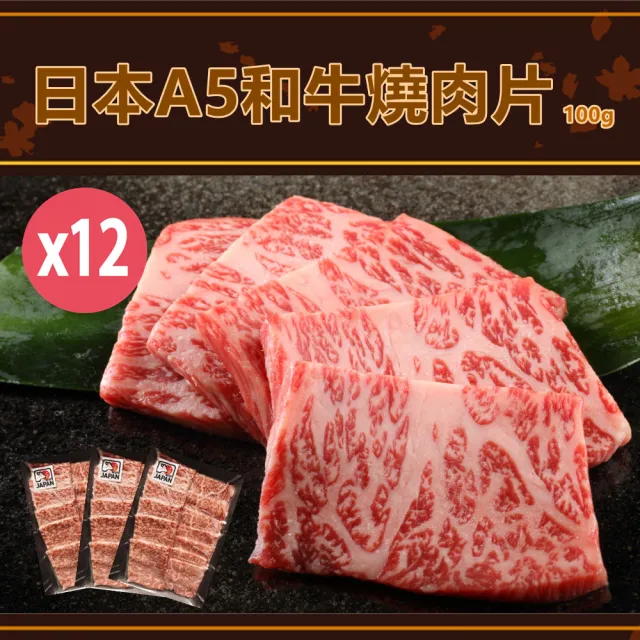 【日本和牛】日本頂級A5和牛燒肉片100gX12盒(煎.烤.火鍋皆適宜)