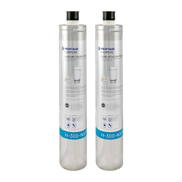 【EVERPURE】美國原裝進口濾心(H300NXT   2入裝  平輸品)