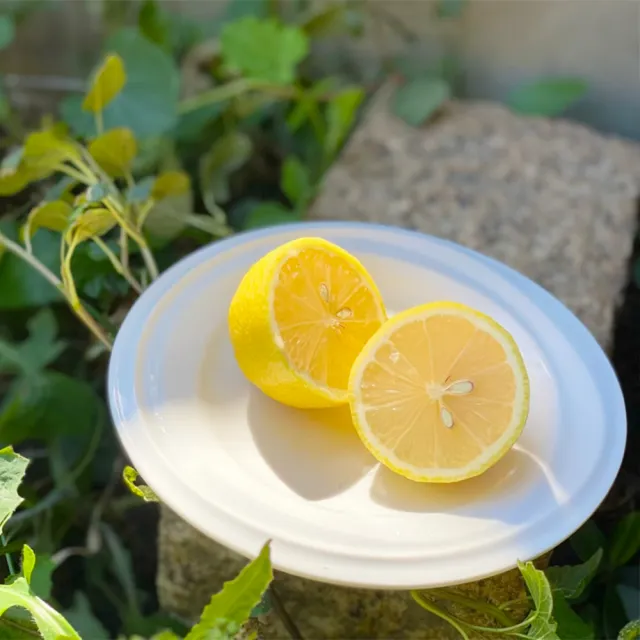 【FruitGo 馥果】美國黃檸檬120g±10%x16-21顆/箱(小箱2.2kg±10%)