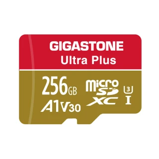【GIGASTONE 立達】microSDXC UHS-Ⅰ U3 A1V30 256GB相機攝影記憶卡(支援行車紀錄器/監視器)