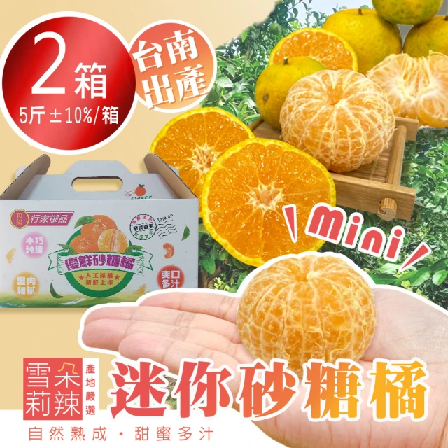 FruitGo 馥果 日本熊本黃金蜜柑S-M100g±10%