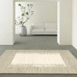 【黑孔雀家居】北歐風水晶絨地毯200*300CM(地毯 地墊 客廳地毯 臥室地毯 沙發地毯)