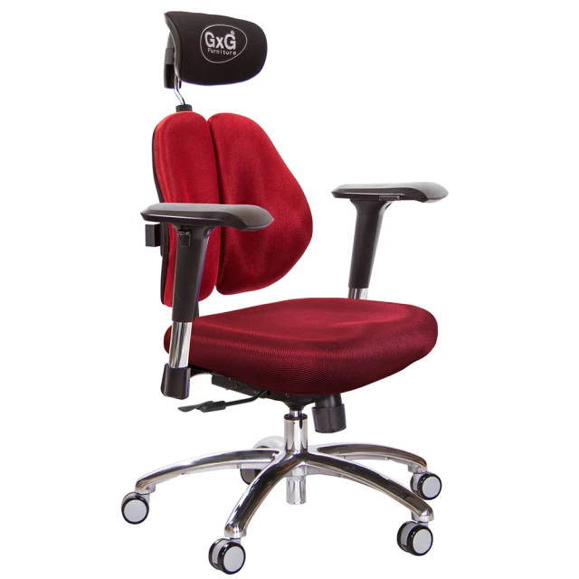 GXG 吉加吉 雙軸枕 雙背電腦椅 鋁腳/2D滑面金屬扶手(