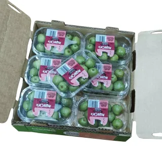 【每日宅鮮】Kiwi berry 奇異果寶寶-紐西蘭迷你奇異果(125g／盒±5% x12盒／原封箱 免運)