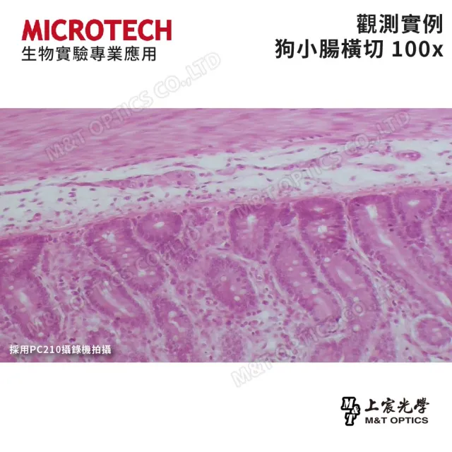 【MICROTECH】LX120-UPN 顯微鏡攝影套組(台灣總代理公司貨保固)