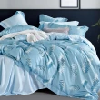 【Betrise】植萃系列100%奧地利天絲八件式鋪棉兩用被床罩組(雙/加/特/多款任選)