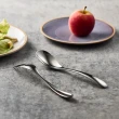 【有種創意食器】日本山崎金屬 - HOME FESTA系列 - 不鏽鋼湯匙(181 mm)
