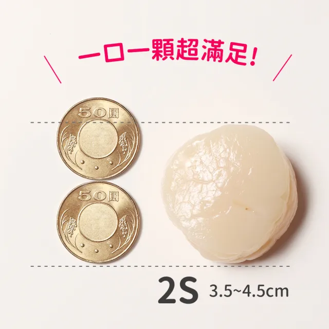 【Cococina】日本北海道生食級干貝2S 500g*1盒(2S 500g 1盒)