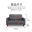 【ASSARI】艾莉雅輕奢現代貓抓皮雙人座沙發(120cm)