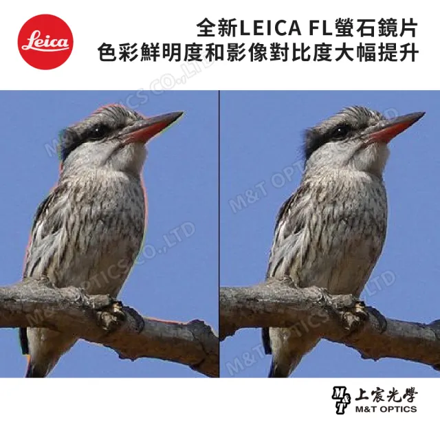 【LEICA 徠卡】ULTRAVID 10X42 HD-PLUS徠卡頂級螢石雙筒望遠鏡(公司貨)