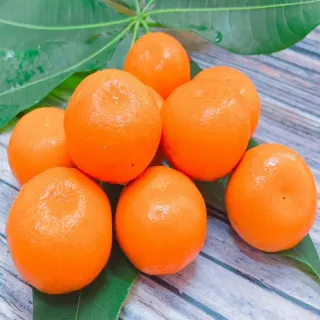 【水果達人】美國無籽砂糖橘1盒(4台斤/盒)