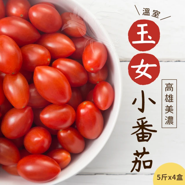 皮果家 台灣自產冷凍番茄塊_3kg/箱(1kg*三包)折扣推