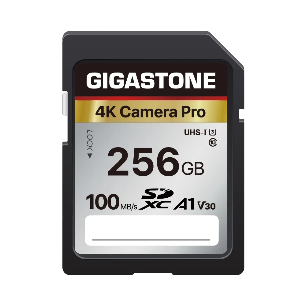 【GIGASTONE 立達】SDXC SD UHS-I U3 A1V30 4K 256GB高速記憶卡(256G 單眼相機/攝錄影機專用記憶卡)