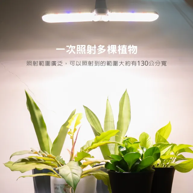 【微糖花植間】SJ飛行船植物燈-大範圍照射款(植物生長燈/全光譜植物燈/led)