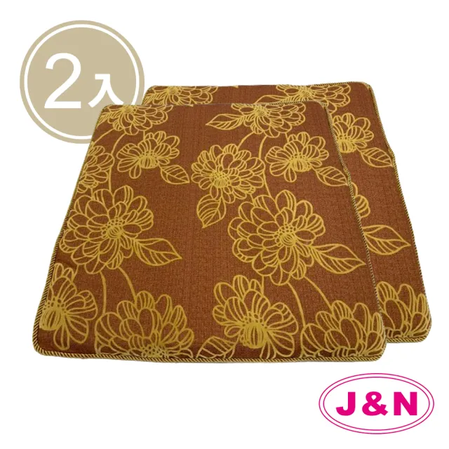 【J&N】雅晶單人止滑坐墊 - 54x54X3cm(-2入)