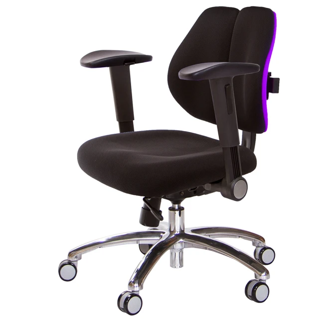 GXG 吉加吉GXG 吉加吉 低雙背 工學椅 鋁腳/摺疊滑面扶手(TW-2605 LU1J)