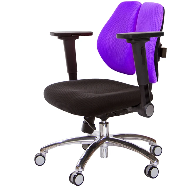 GXG 吉加吉GXG 吉加吉 低雙背 工學椅 鋁腳/4D平面摺疊扶手(TW-2605 LU1H)