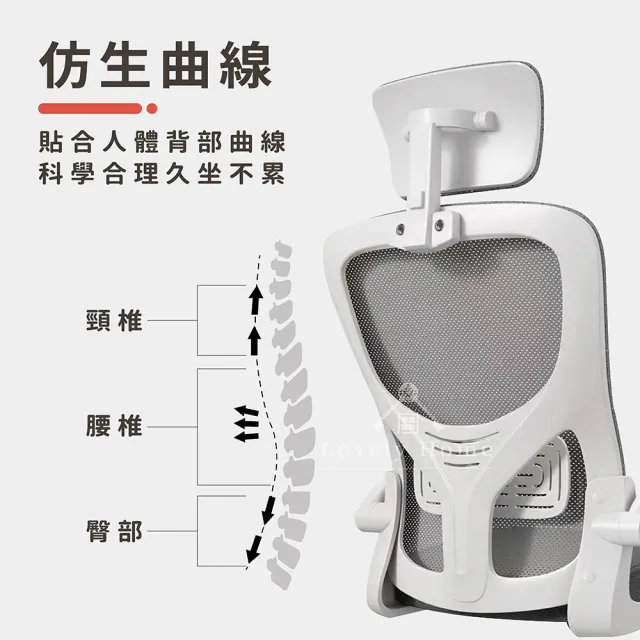 【享澄家居】人體工學電競椅-白-無頭枕(sc4113)(電競椅/電腦椅/辦公椅/躺椅)