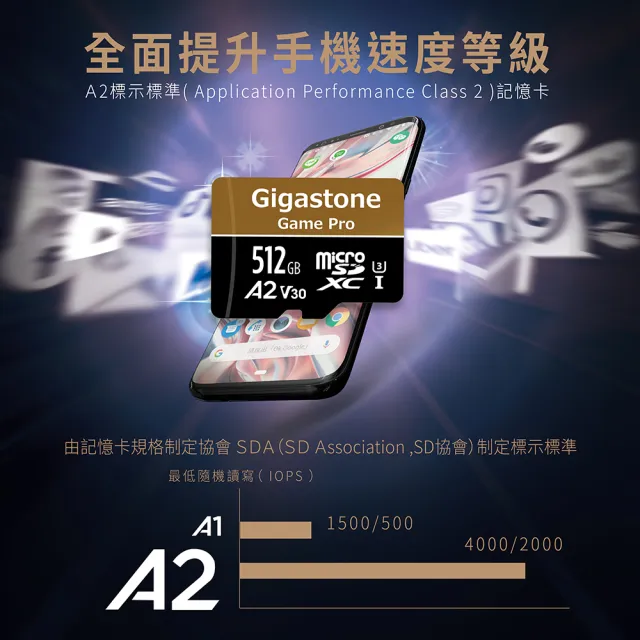 【GIGASTONE 立達】microSDXC UHS-Ⅰ U3 A2V30 256GB遊戲高速記憶卡-2入組(支援Switch/GoPro)