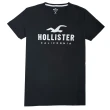【HOLLISTER Co】休閒 素TEE 刺繡LOGO短袖上衣(多款可選)