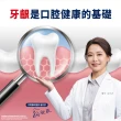 【Parodontax 牙周適】固齒護齦 牙齦護理牙膏80gX3入(亮白配方)