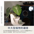 【微糖花植間】Alyna全光譜植物燈30W-植物生長燈(led植物燈/補光植物成長燈泡)