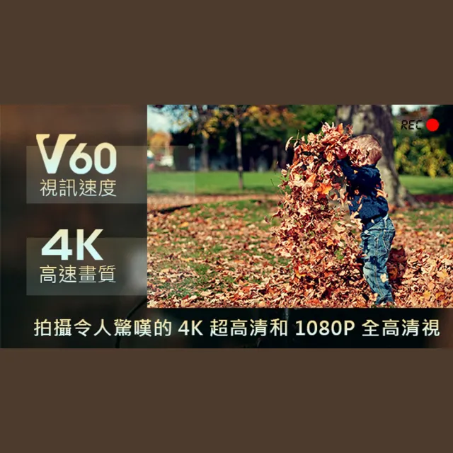 【AXE MEMORY】專業級SDXC 512GB V60 UHS-II 防水防震防X射線 記憶卡 U3 4K(台灣製造 耐高低溫)