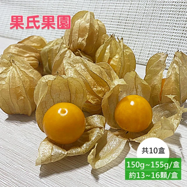 果氏果園 日本品種鮮採黃金莓x10盒(約150~155g/盒_約13~16顆/盒_彰化產地直送_燈籠果_姑娘果)