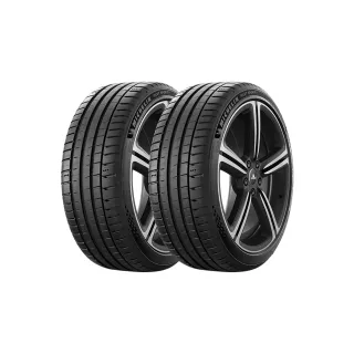 【Michelin 米其林】輪胎米其林PS5-2553519吋_二入組(車麗屋)