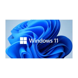 【Microsoft 微軟】Windows 11 專業隨機版(64位元/中文/含安裝)