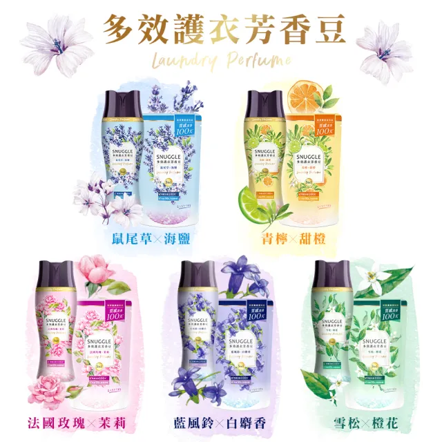 【SNUGGLE】熊寶貝多效護衣芳香豆/香香豆 罐裝350mlx2+補充包300mlx4(藍風鈴/雪松/法國玫瑰/鼠尾草/青檸)