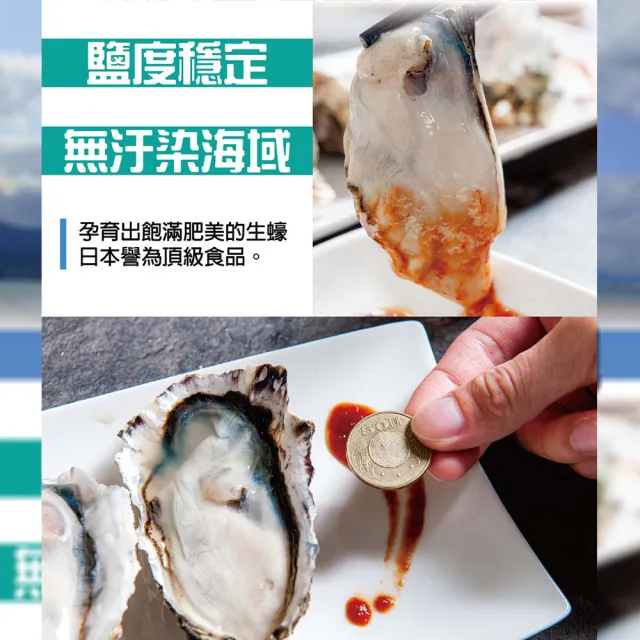 【鮮綠生活】日本冷凍全殼生蠔 共6包(10公分以上/顆 5顆/包)