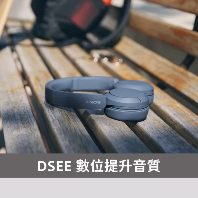 【SONY 索尼】WH-CH520 無線藍芽耳罩式耳機(公司貨保固12個月)