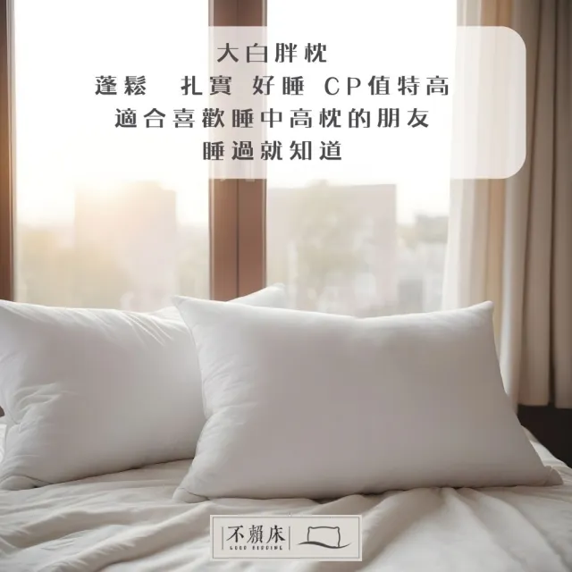 【不賴床】大白胖枕 兩入組 台灣製造  超回彈高密度纖維枕(民宿 飯店專用 枕頭 枕心)