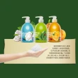 【快潔適】SDC抑菌洗手乳-溫和草本3850ml(抗菌 補充包 桶裝)