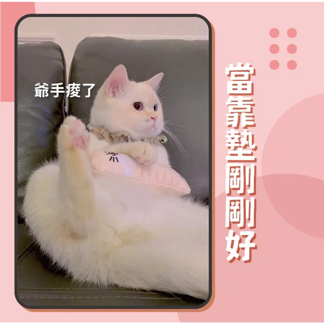 【NU4PET 陪心寵糧】自嗨貓薄荷棒(貓草玩具 寵物玩具 貓玩偶)