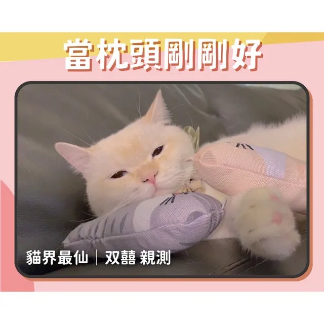 【NU4PET 陪心寵糧】自嗨貓薄荷棒(貓草玩具 寵物玩具 貓玩偶)