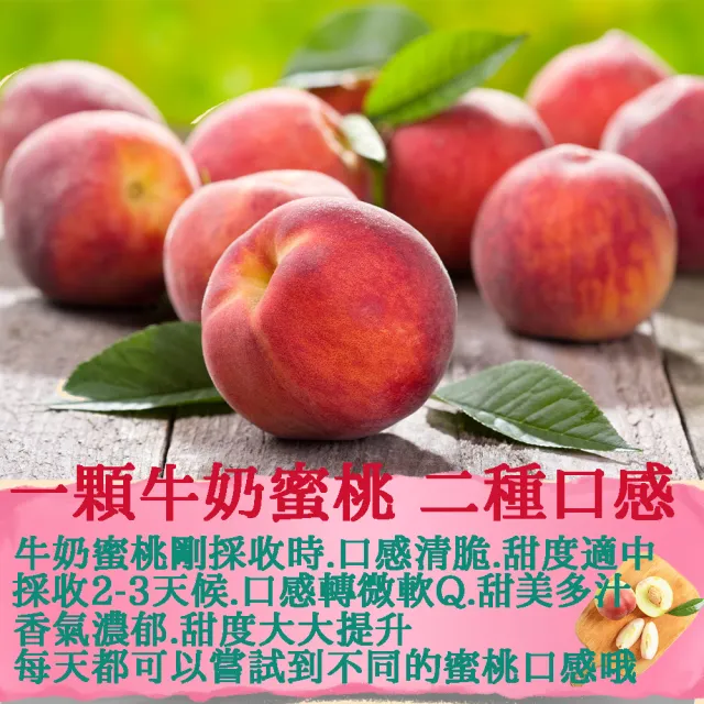 【初品果】高雄甲仙紅玉牛奶蜜桃12顆x1盒(喝牛奶長大的蜜桃哦)