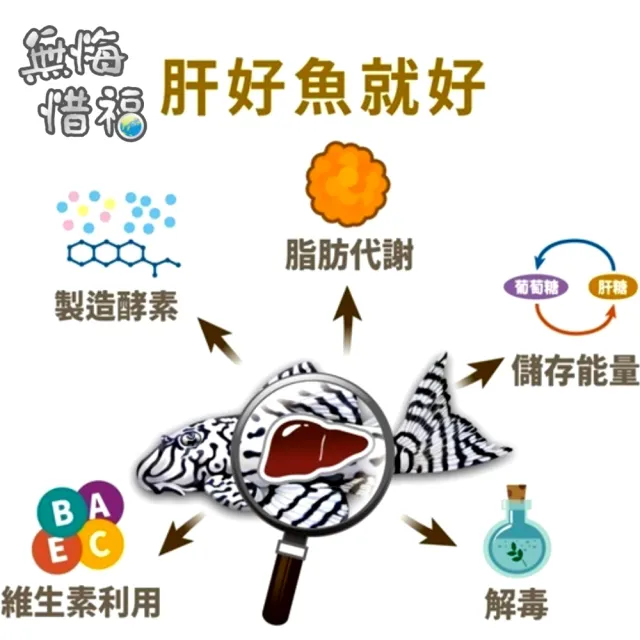 【海豐飼料】無悔惜福 250g小型魚 草本蟲源健康增色消化飼料 細碎粒(適用孔雀魚、鬥魚、燈科等小型魚)