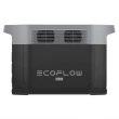 【ECOFLOW】DELTA 2 Max 儲能電源(公司貨 商檢證號 R3E975)