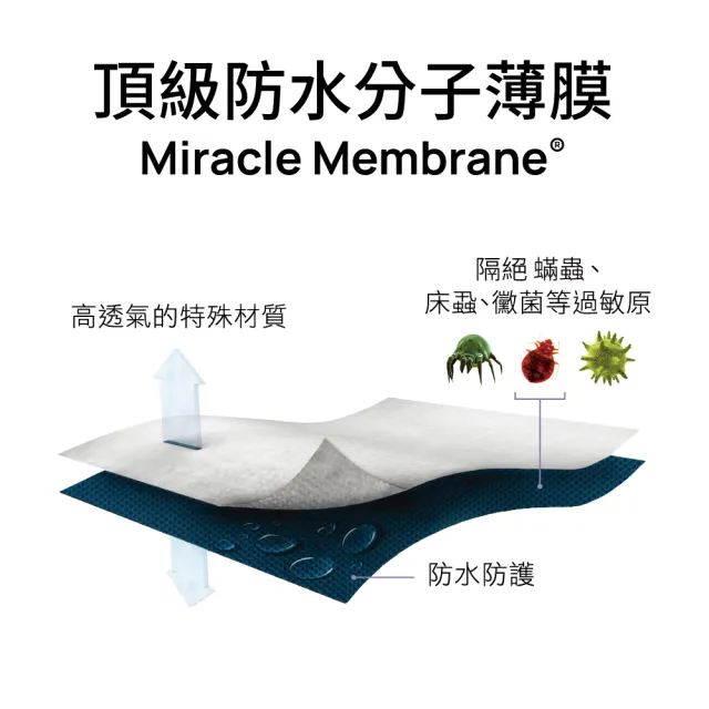 【美國寢之堡】西班牙天絲床包式防水保潔墊(標準雙人5x6.2)