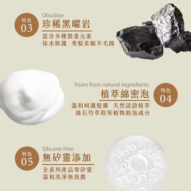 【SAHOLEA 森歐黎漾】質進化 咖啡因豐盈健髮洗髮精480ml x3入(頭皮養護)