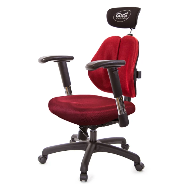 GXG 吉加吉GXG 吉加吉 雙軸枕 雙背工學椅 2D滑面金屬扶手(TW-2606 EA6)