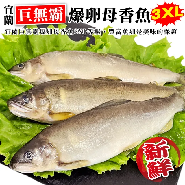 【三頓飯】宜蘭巨無霸3XL爆卵母香魚(1盒_3-5尾/920g/盒)